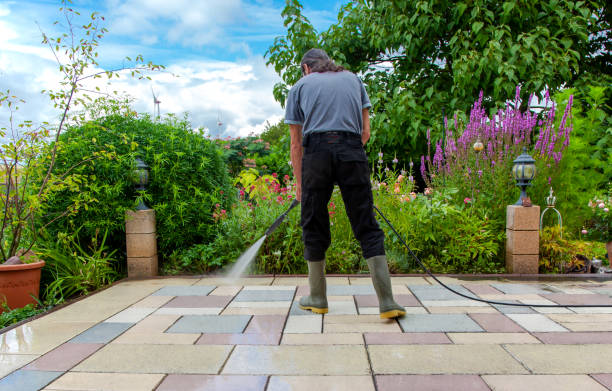 Best Roof Cleaning and Mildew Removal in USA